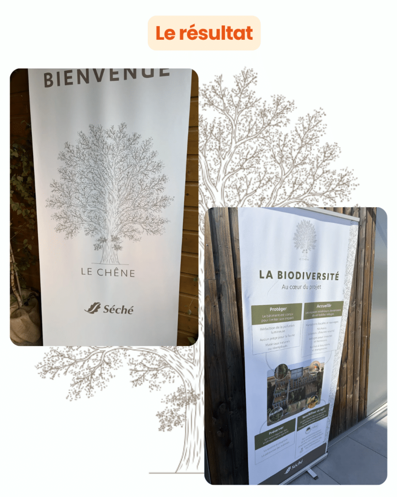 Le Chêne : une identité graphique pour le nouveau siège de Séché Environnement 6