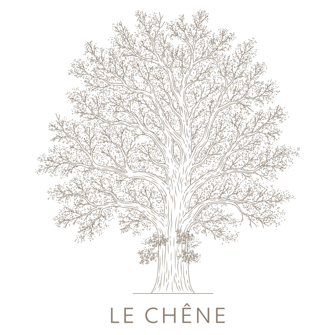 Le Chêne : une identité graphique pour le nouveau siège de Séché Environnement 1